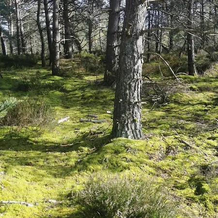 Jolie Dependance Proche Foret- Nemours *